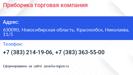 Приборика торговая компания - визитка