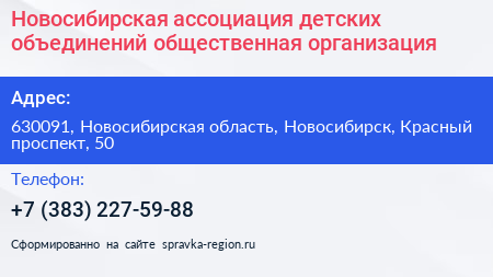 Новосибирская ассоциация детских объединений общественная организация - визитка