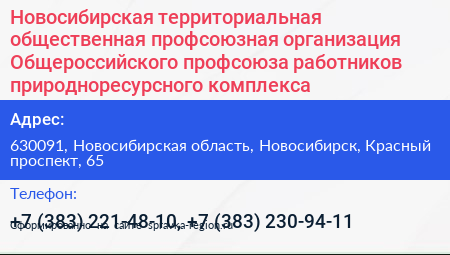 Новосибирская территориальная общественная профсоюзная организация Общероссийского профсоюза работников природноресурсного комплекса - визитка