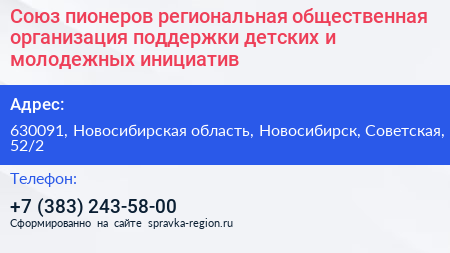 Союз пионеров региональная общественная организация поддержки детских и молодежных инициатив - визитка
