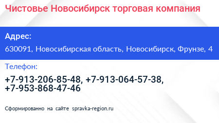 Чистовье Новосибирск торговая компания - визитка