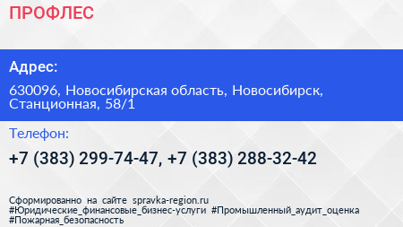 ПРОФЛЕС - визитка