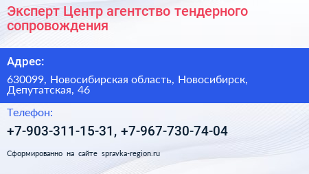 Эксперт Центр агентство тендерного сопровождения - визитка