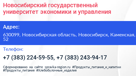 Новосибирский государственный университет экономики и управления - визитка