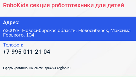 RoboKids секция робототехники для детей - визитка