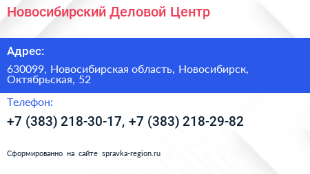 Новосибирский Деловой Центр - визитка