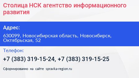 Столица НСК агентство информационного развития - визитка