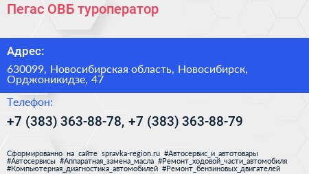 Пегас ОВБ туроператор - визитка