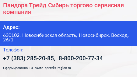 Пандора Трейд Сибирь торгово сервисная компания - визитка