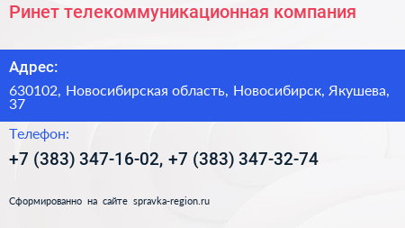 Ринет телекоммуникационная компания - визитка