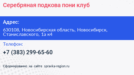 Серебряная подкова пони клуб - визитка