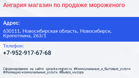 Ангария магазин по продаже мороженого - визитка