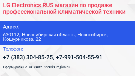 LG Electronics RUS магазин по продаже профессиональной климатической техники - визитка