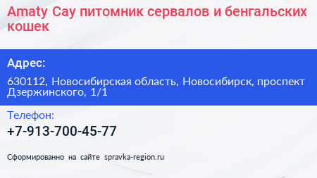 Amaty Cay питомник сервалов и бенгальских кошек - визитка