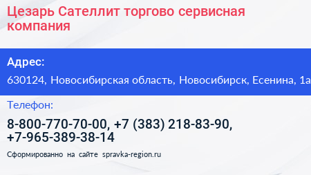 Цезарь Сателлит торгово сервисная компания - визитка