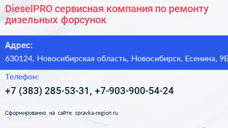 DieselPRO сервисная компания по ремонту дизельных форсунок - визитка