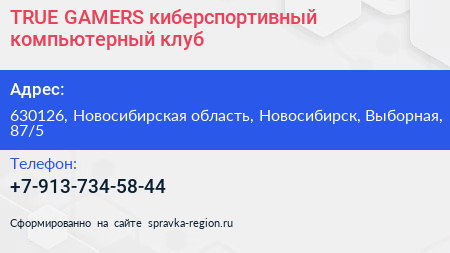 TRUE GAMERS киберспортивный компьютерный клуб - визитка