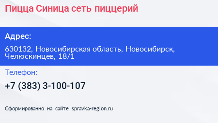 Пицца Синица сеть пиццерий - визитка