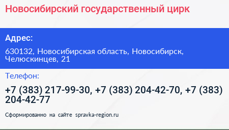 Новосибирский государственный цирк - визитка