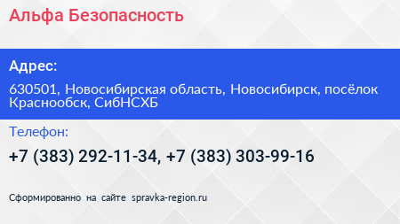 Альфа Безопасность - визитка