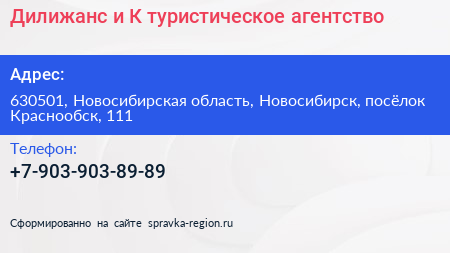 Дилижанс и К туристическое агентство - визитка