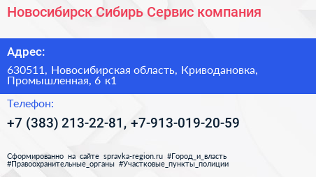 Новосибирск Сибирь Сервис компания - визитка