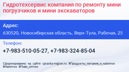 Гидротехсервис компания по ремонту мини погрузчиков и мини экскаваторов - визитка