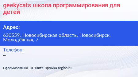 geekycats школа программирования для детей - визитка