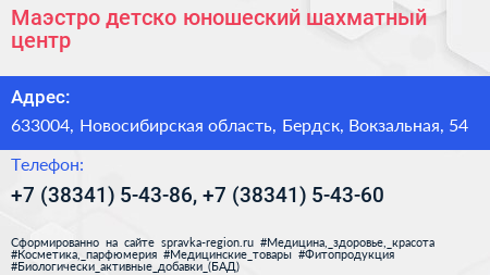 Маэстро детско юношеский шахматный центр - визитка