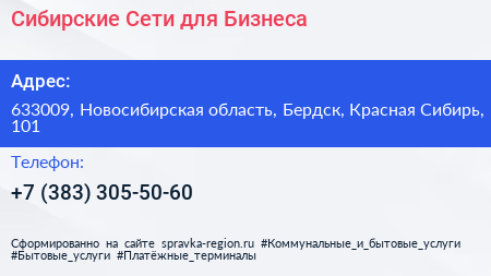 Сибирские Сети для Бизнеса - визитка