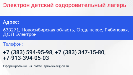 Электрон детский оздоровительный лагерь - визитка