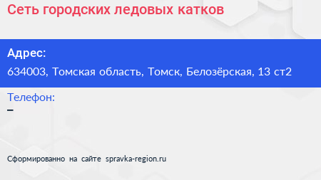 Сеть городских ледовых катков - визитка