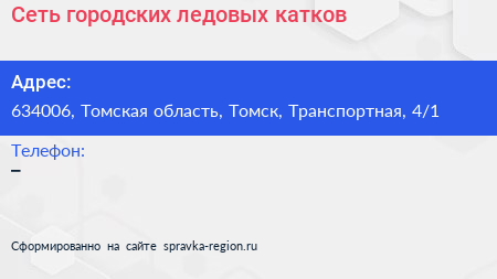 Сеть городских ледовых катков - визитка