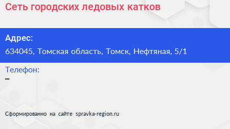 Сеть городских ледовых катков - визитка