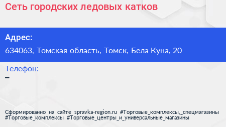 Сеть городских ледовых катков - визитка