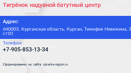 Тигрёнок надувной батутный центр - визитка