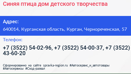 Синяя птица дом детского творчества - визитка