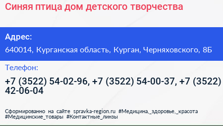 Синяя птица дом детского творчества - визитка
