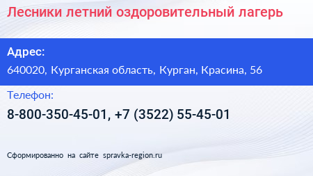 Лесники летний оздоровительный лагерь - визитка