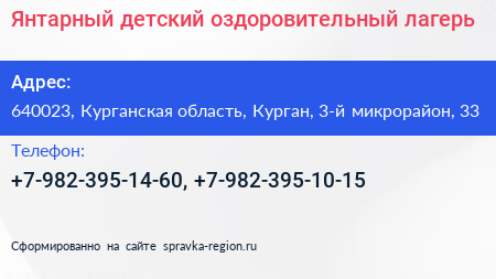 Янтарный детский оздоровительный лагерь - визитка