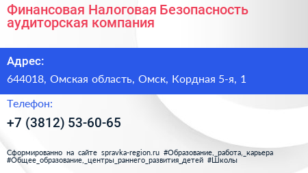 Финансовая Налоговая Безопасность аудиторская компания - визитка