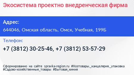 Экосистема проектно внедренческая фирма - визитка