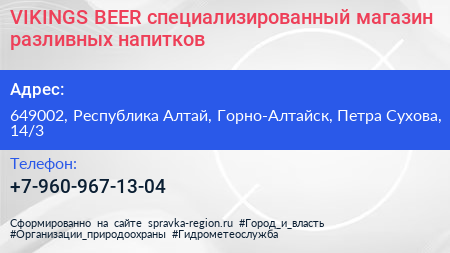 VIKINGS BEER специализированный магазин разливных напитков - визитка