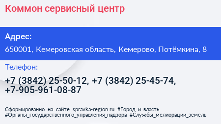 Коммон сервисный центр - визитка
