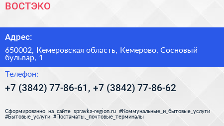 ВОСТЭКО - визитка