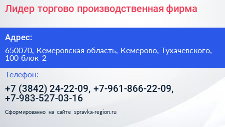 Лидер торгово производственная фирма - визитка