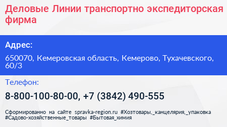 Деловые Линии транспортно экспедиторская фирма - визитка