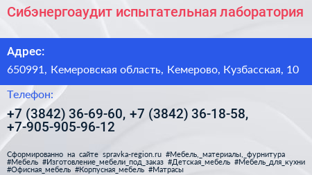 Сибэнергоаудит испытательная лаборатория - визитка