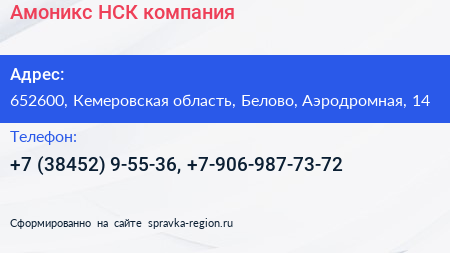 Амоникс НСК компания - визитка