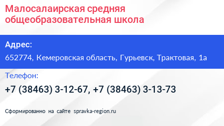 Малосалаирская средняя общеобразовательная школа - визитка